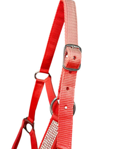 Alternative view of Medium/Large Pony Size Nylon Halter w/ Crystal Noseband & Cheeks
