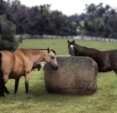 Slow Feed Round Bale Net