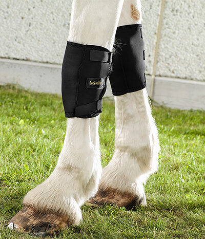 Back on Track Therapeutic Horse Knee Boot-Medium Left