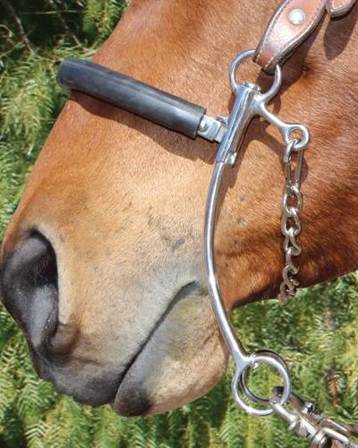 Professionals Choice Brittany Pozzi Medium Shank Hackamore