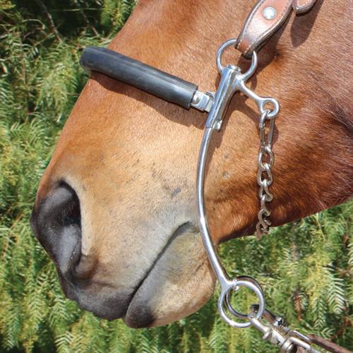 Professionals Choice Brittany Pozzi Medium Shank Hackamore