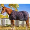 BeneFab Rejuvenate SmartScrim