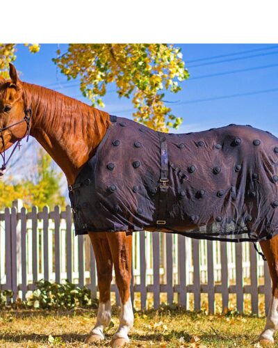 BeneFab Rejuvenate SmartScrim