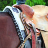 Professionals Choice Professional's Dally Black Horn Wrap