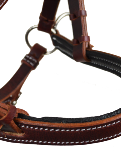 Alternative view of Latigo Leather Sidepull w/ Padded Noseband