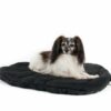 Back On Track Therapeutic Dog Bed