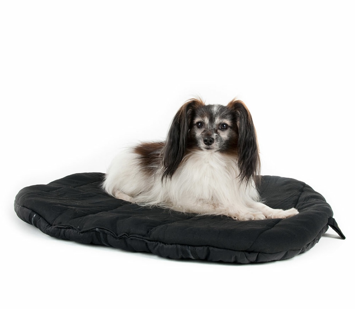 Back On Track Therapeutic Dog Bed