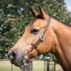 Leather Buckstitched Cowboy Knot Slip Ear Headstall