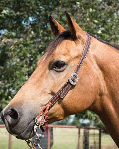 Leather Buckstitched Cowboy Knot Slip Ear Headstall