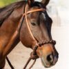 Professionals Choice Loping Hackamore