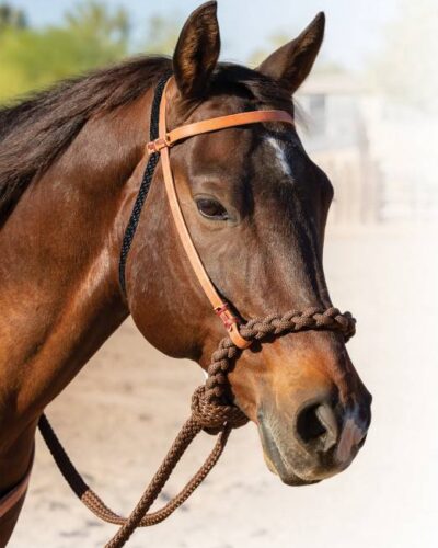 Professionals Choice Loping Hackamore