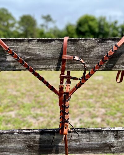 Black Laced Headstall & Breastcollar Set