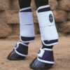 Professional's Choice Magnetic Tendon Boots