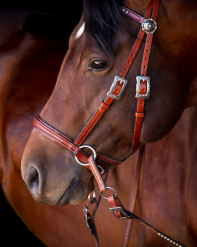 Deluxe Western Headstall w/ Antiqued Spots - Image 2