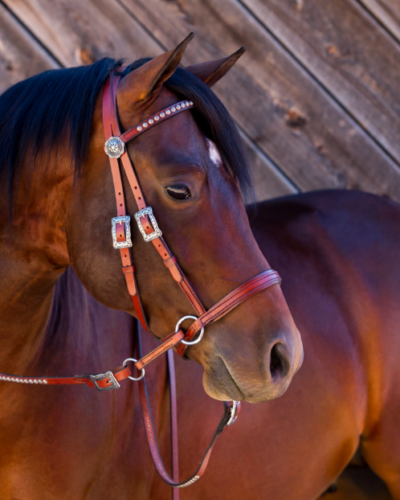 Deluxe Western Headstall w/ Antiqued Spots - Image 3