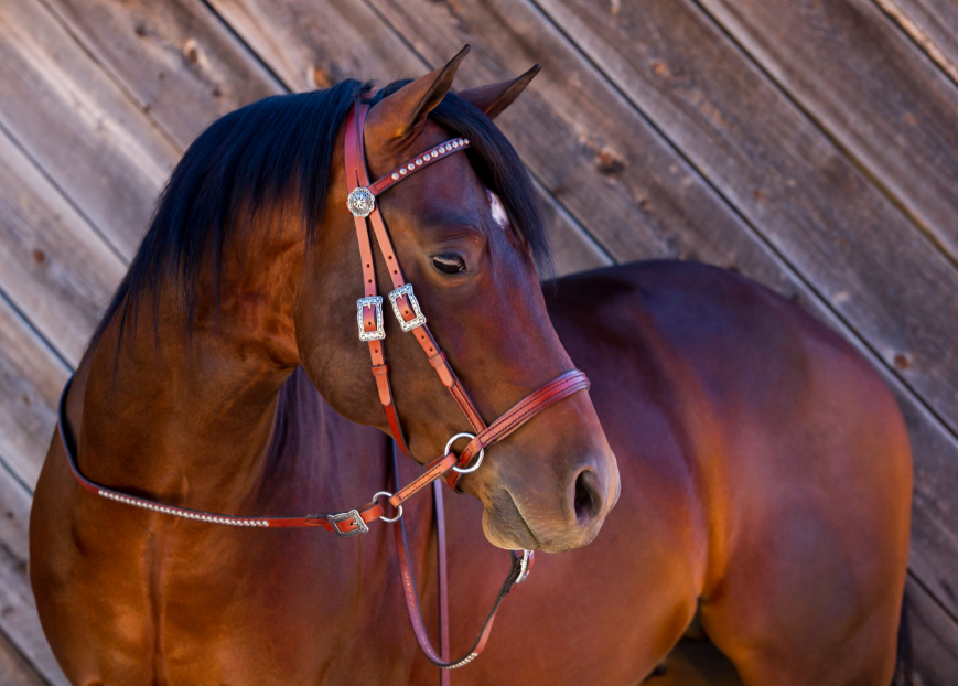 Deluxe Western Headstall w/ Antiqued Spots - Image 3