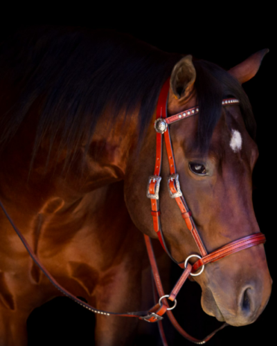 Deluxe Western Headstall w/ Antiqued Spots