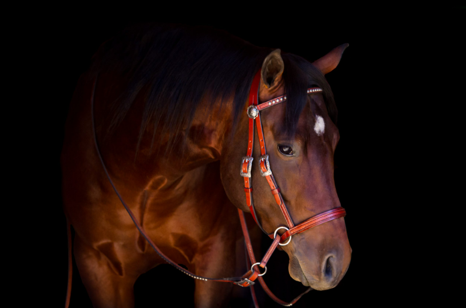 Deluxe Western Headstall w/ Antiqued Spots