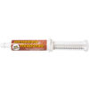 Immediate Response 80ml Paste Syringe