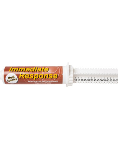 Immediate Response 80ml Paste Syringe