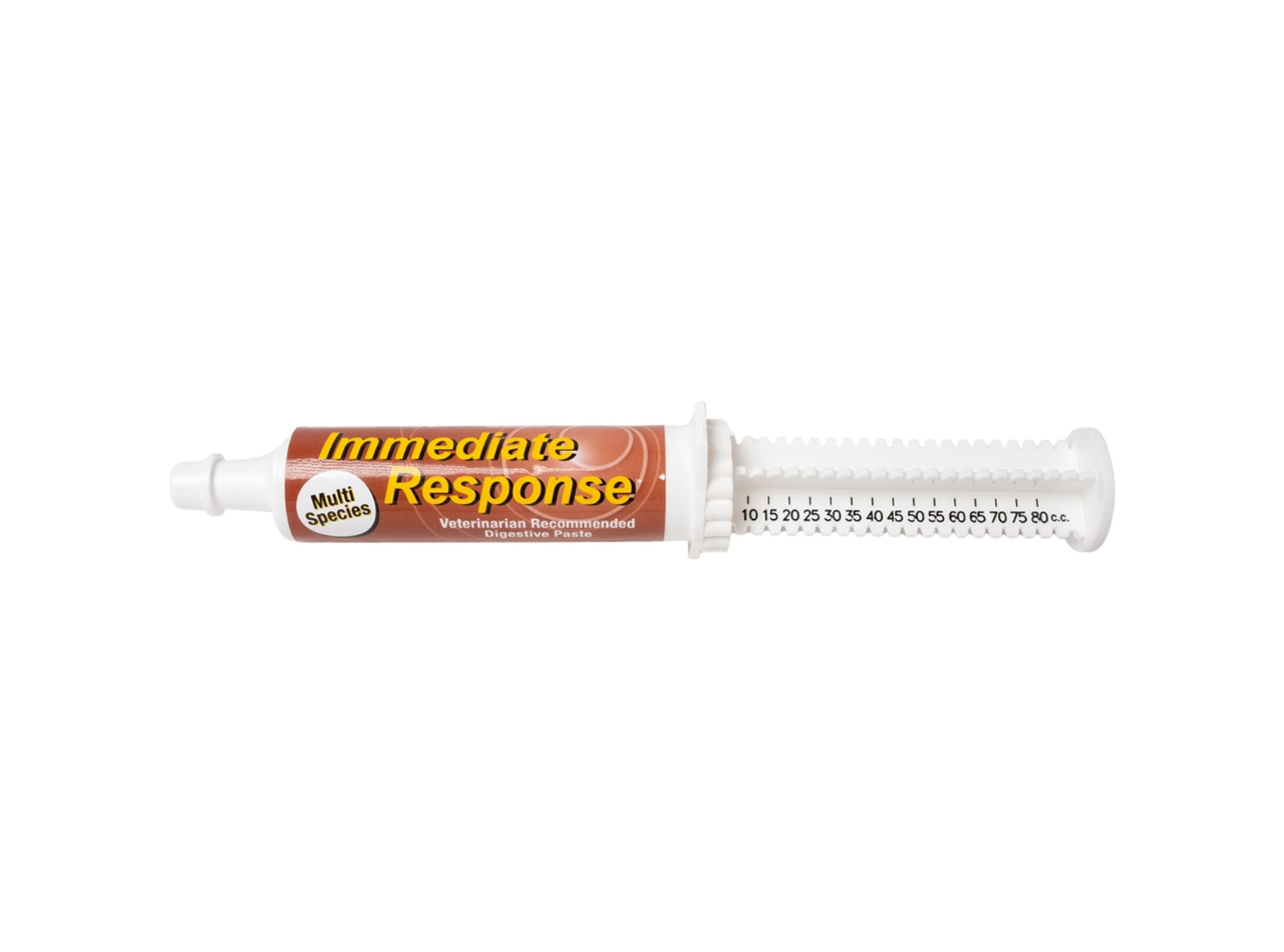 Immediate Response 80ml Paste Syringe