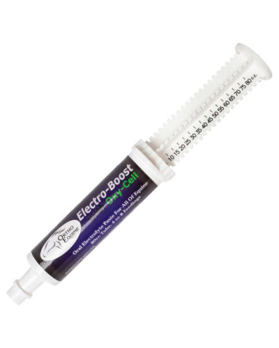 Electro Boost Equine Electrolyte Paste