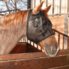 Classic Equine Magntx Mask