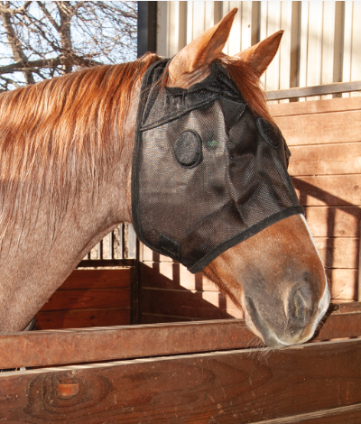 Classic Equine Magntx Mask