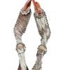 Ladies Cowhide Spur Straps w/ Black Whipstitched Edges