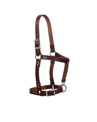 Weaver Riveted Suckling Halter