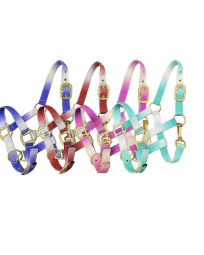 Pony Sized Ombre Halter