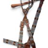Beaded Southwest Design 1-Ear Headstall & Breastcollar Set