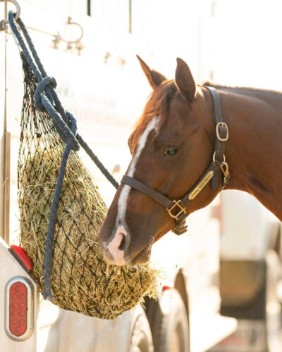Hay Chix ® Half Bale Net