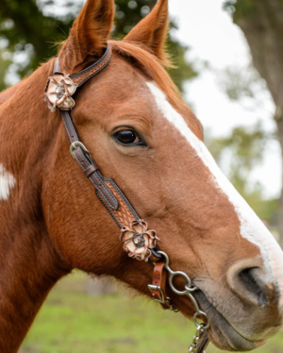 Alternative view of Circle Y Dusty Rose 1-Ear Headstall