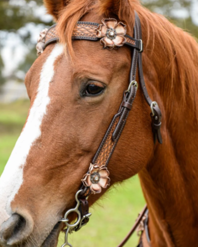Alternative view of Circle Y Dusty Rose Browband Headstall