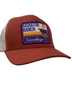 Dale Brisby Caps - Image 18