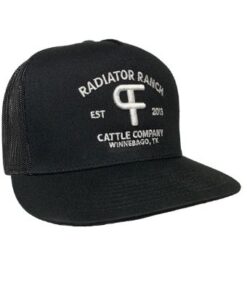 Dale Brisby Caps - Image 17