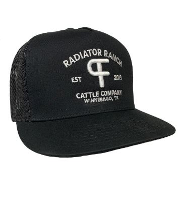 Dale Brisby Caps - Image 17