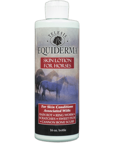Equiderma Horse Skin Lotion 16oz
