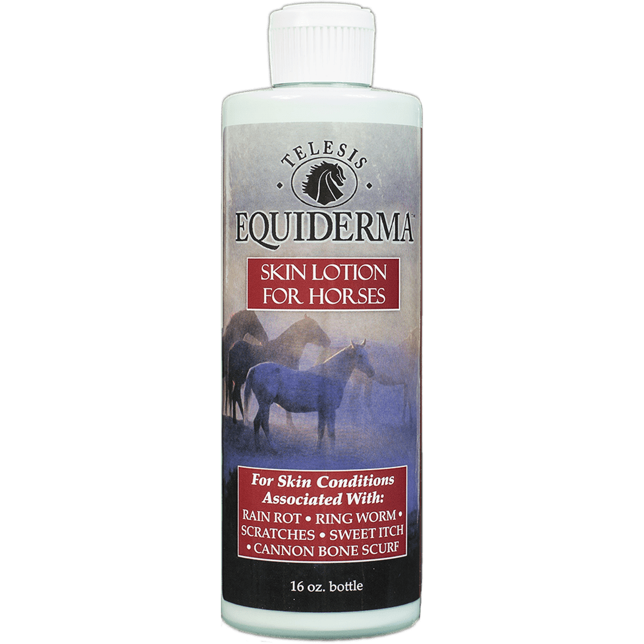 Equiderma Horse Skin Lotion 16oz