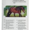 Animalintex Poultice Pad