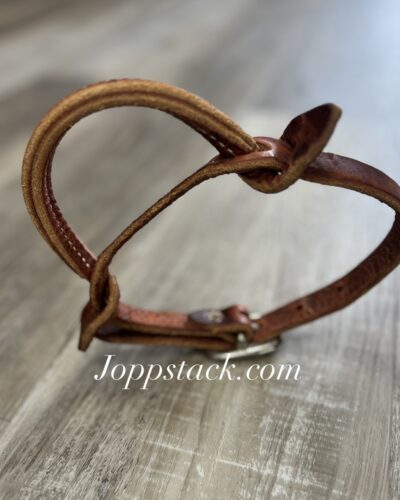 Harness Leather Night Latch