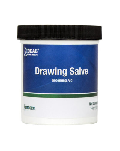 Drawing Salve