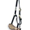 Rockn' Wilsons Laredo & Copper Crystal Bronc Halter