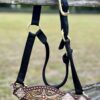 Rockn' Wilsons Laredo & Copper Crystal Bronc Halter