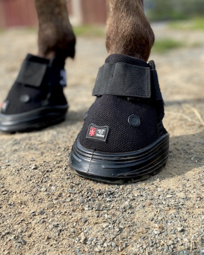 Easyboot Rx