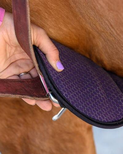 Alternative view of Professional's Choice 2XCool Cinch
