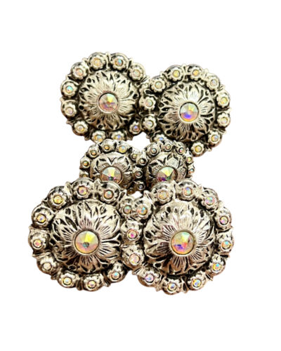 Silver Crystal Concho Set