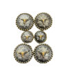 Longhorn Concho Set