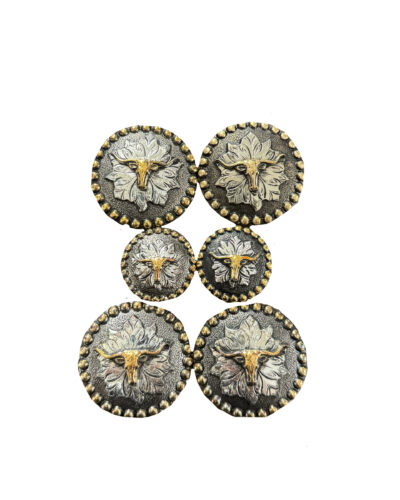 Longhorn Concho Set